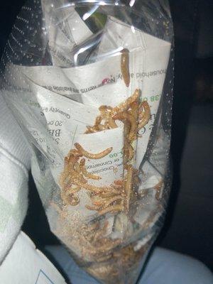 Many Mealworms!