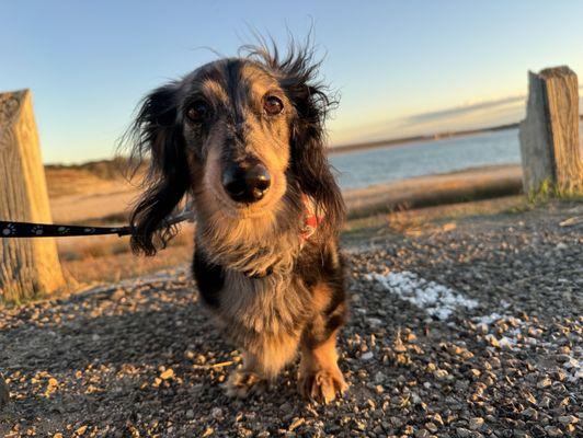 Stillhouse Hollow Marina