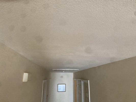 My wavey mismatched ceiling!!