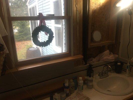 Half bath facing west. Would like to extend wall four/five feet and add walk-in shower.