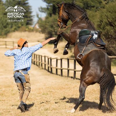 The risks associated with horses, people and places can be difficult to identify and control. Let me help you protect your business from kno