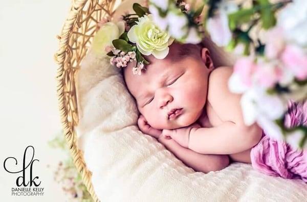 Danielle Kelly Photography