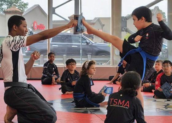 Tiger Schulmann's Martial Arts - Brick