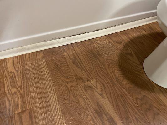 This need to be corked around the tub