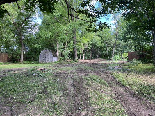 Black River Tree Removal