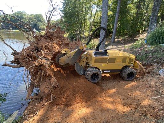 Stump Grinder Company