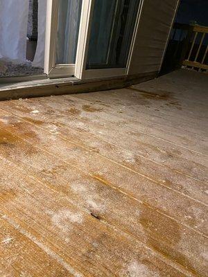 Speelmans Restorations