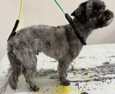 Nat’s Bark Boutique