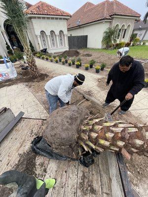 Green View Landscapes