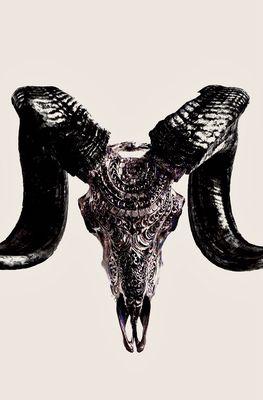 Midnight Cowboy Bartending & DJ Service