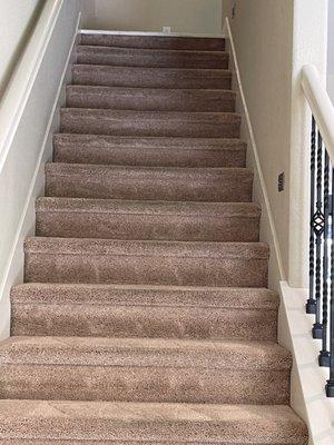 Denis Carpet Cleaning Services