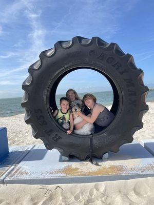 Sycamore Veterinary Hospital