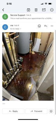 If you don't believe me look !!!!