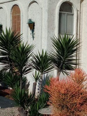 Camino Del Rio Plaza