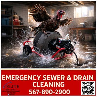 Elite Drain Cleaning & Water Damage Professionals