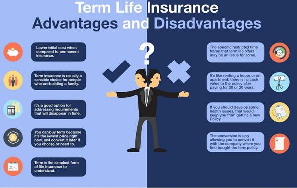 Sophia's Insurance Services