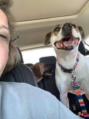 Tidmore Veterinary Hospital