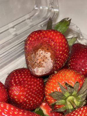 moldy strawberry