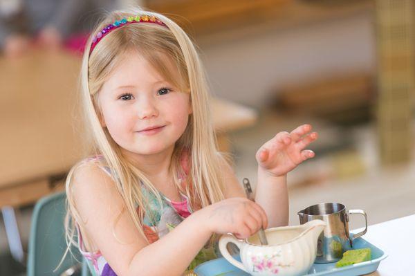 The Children's Tree Montessori LLC