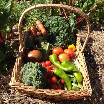 Blue Sky Community Garden