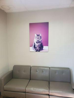 North Carrollton Veterinary Hospital