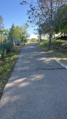 Dark Knights Seal Coating