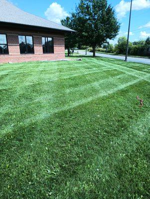 Jason's lawn And landscape