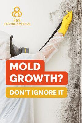 Mold Growth?
DONT IGNORE IT