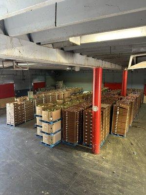 Borderlands Produce Rescue