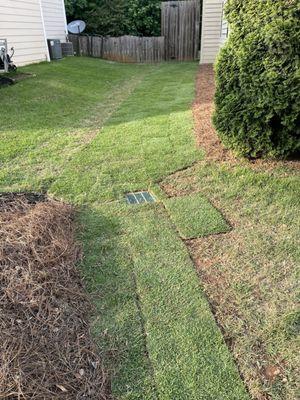 Dos Pablo's Landscaping