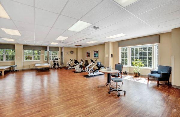 Beautiful Therapy Gym