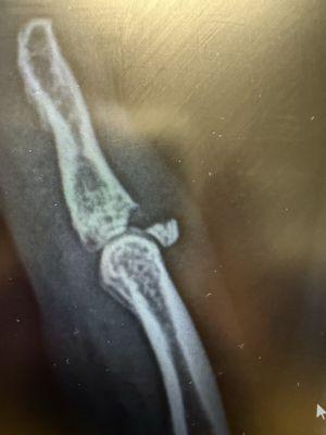 MEDcare Urgent Care - West Columbia