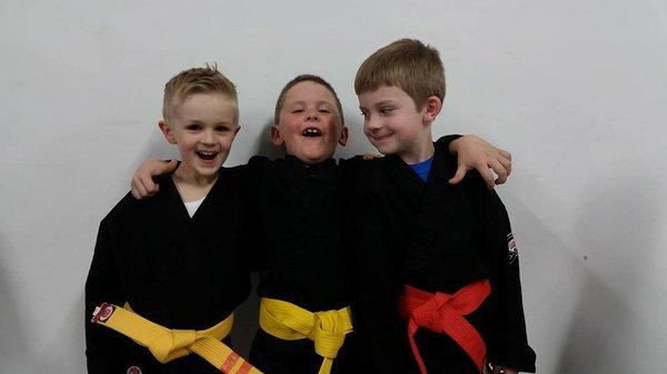 Driscoll Institute of the Martial Arts