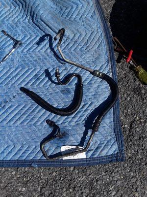 Honest Landscaping and Handyman Services