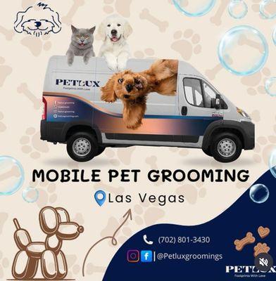 Petlux Grooming