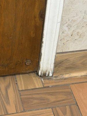 Ladies bathroom door