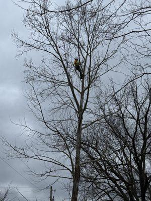 J&T construction & tree care