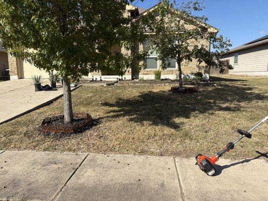 Mario’s Home & Lawn Care