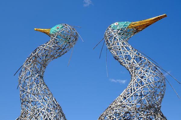 Dancing for Joy at Back Cove