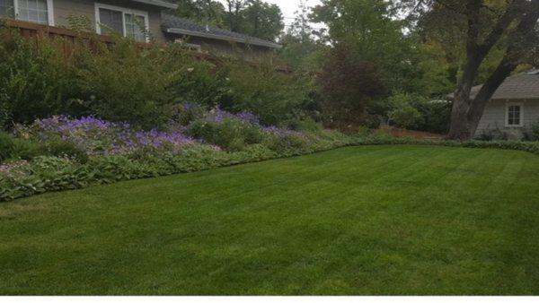 Marin Garden Services