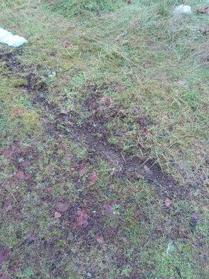 Upton's Diesel Service