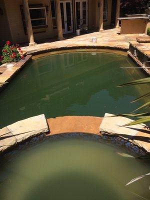 Palmer's Pool Service