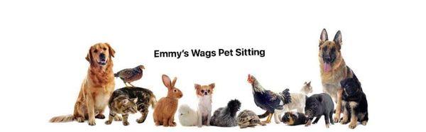 Emmy’s Wags Pet Sitting