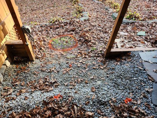 Orange tapes mark wrong the wrong septic location percT.J. at Wingle Septic, the orange circle is correct.