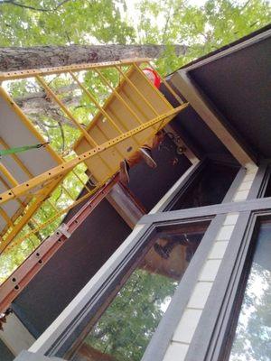 Midtown Honey Company