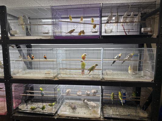 Mendoza's Feed and Supply