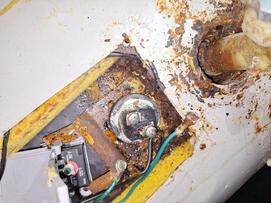 Stewie's All Around Drain Clean Outs