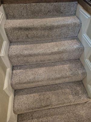 Stained sticky carpet. At the base of the stairs is where toilet overflows out of bathroom and onto carpet.