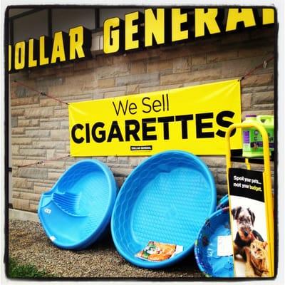 In case you were wondering...