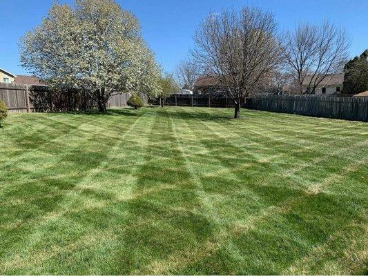 Lawn Care in Omaha